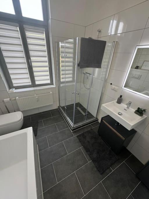 Apartment Mit Parkplatz Und Wifi Magdeburg Exterior photo